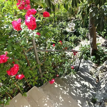 La Casa Nel Borgo Bibbona