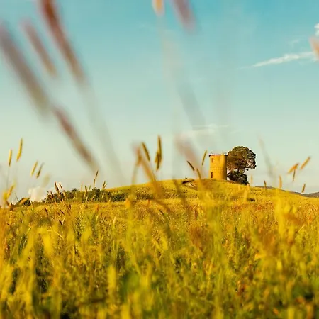 La Casa Nel Borgo Bibbona