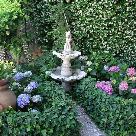 Bed & Breakfast La Casa Nel Borgo Bibbona